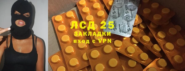 меф Ельня