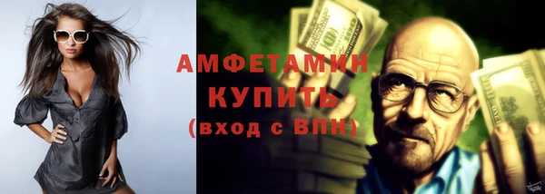 меф Ельня