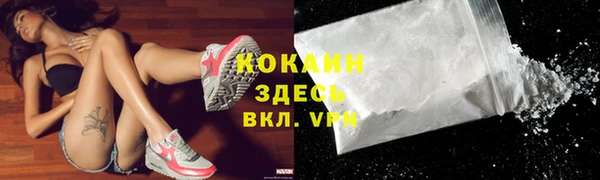 меф Ельня