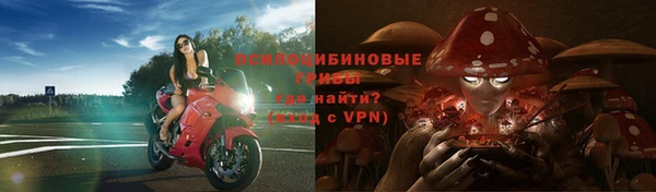 меф Ельня