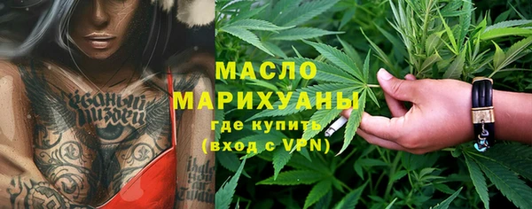 меф Ельня