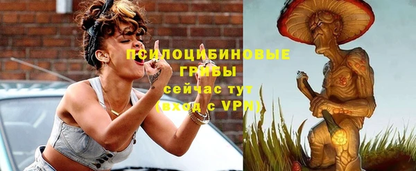 меф Ельня