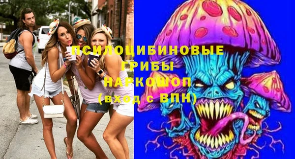 меф Ельня