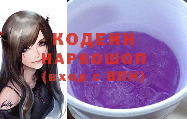 меф Ельня