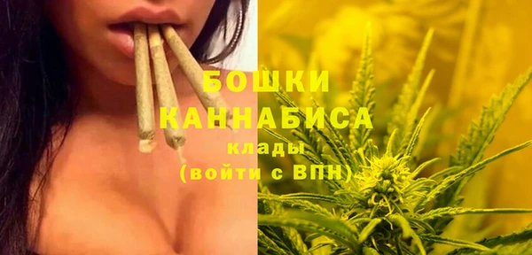 меф Ельня
