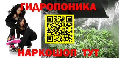 винт Дубна