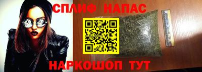 гидропоника Донской