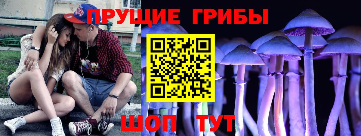 Похвистнево  Галлюциногенные грибы мухоморы  Псилоцибиновые грибы мухоморы  Вход с VPN 